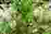 cphoto 2