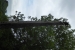 P1000420