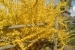 dsc01204