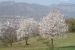 dsc01212