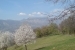 dsc01213