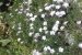 20180717_145519