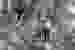 1360331664315