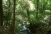 imgp2693
