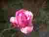 100_3720